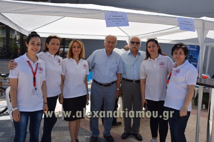 alexandriamou_1_alexandrinos_dromos091